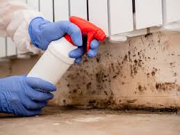 Professional Mold Removal Services in Orangeville, UT